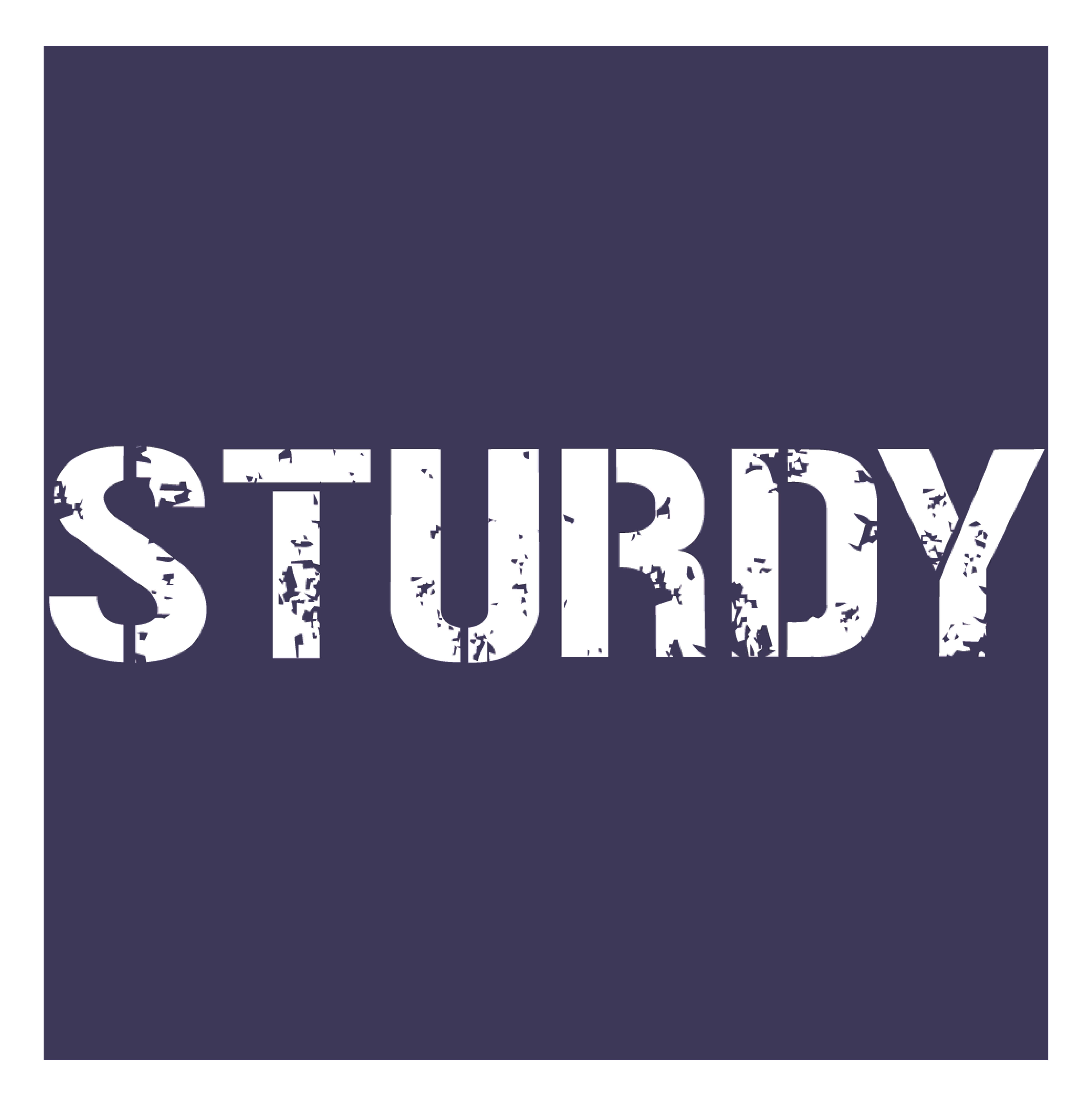 sturdy